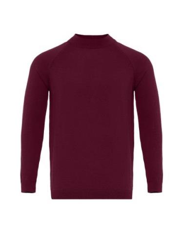 Dandalo Pullover  bordeaux