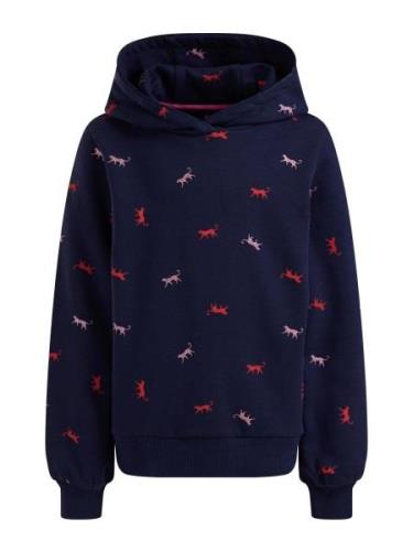 WE Fashion Sweatshirt  mørkeblå / hindbær / lys pink