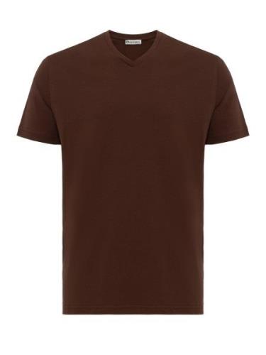 Dandalo Bluser & t-shirts  brun