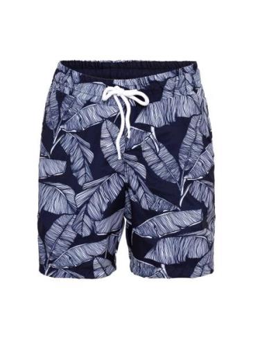 Daniel Hills Badeshorts  navy / hvid