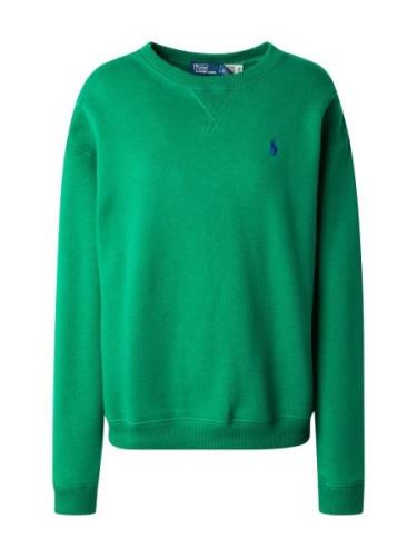 Polo Ralph Lauren Sweatshirt  siv