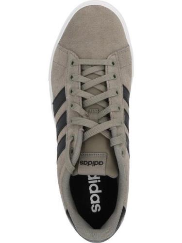 ADIDAS ORIGINALS Sneaker low 'DAILY 4.0'  stone / sort