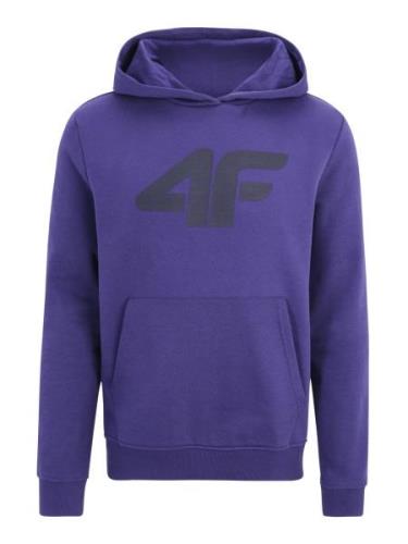 4F Sportsweatshirt  indigo / sort