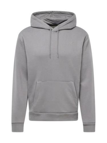 HOLLISTER Sweatshirt  grå