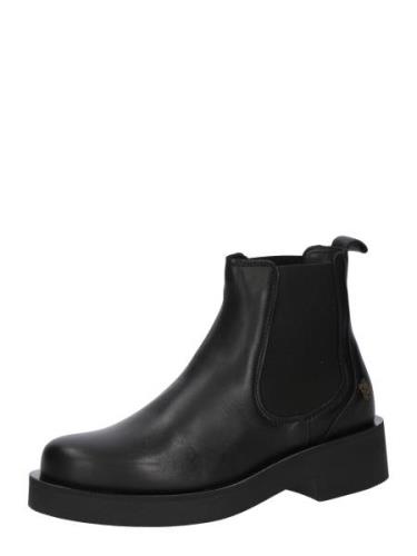 Apple of Eden Chelsea Boots 'CANNES 1'  sort