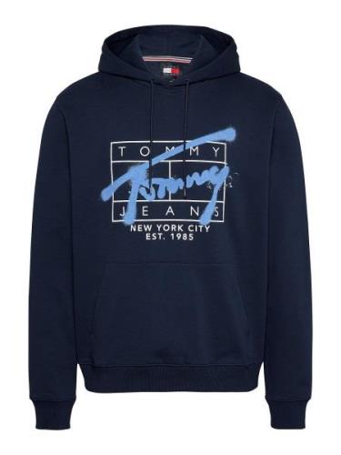 Tommy Jeans Sweatshirt  navy / lyseblå / hvid