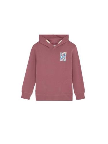 Scalpers Sweatshirt  blandingsfarvet / rødviolet