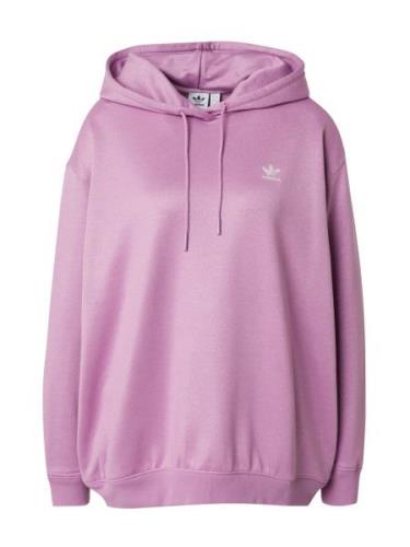 ADIDAS ORIGINALS Sweatshirt 'TREFOIL'  blomme / hvid