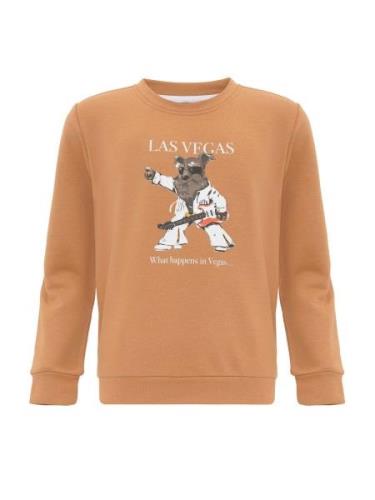 Williot Sweatshirt  brun