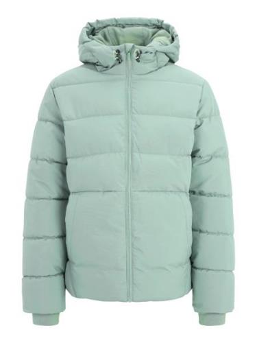 Only & Sons Overgangsjakke 'ONSMARVIN'  mint