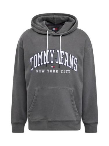 Tommy Jeans Sweatshirt  navy / rød / sort / hvid