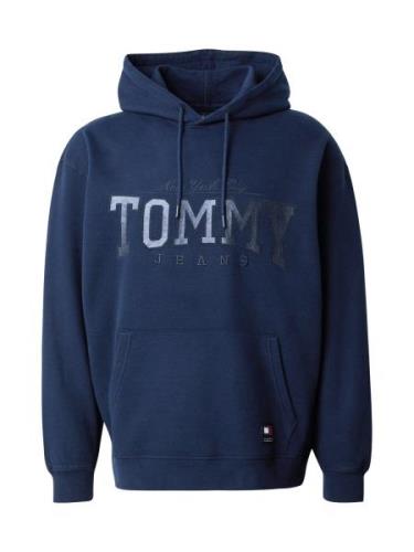 Tommy Jeans Sweatshirt  ensian / sølvgrå