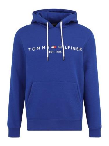 TOMMY HILFIGER Sweatshirt  ensian / rød / hvid