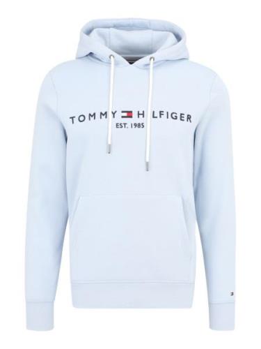 TOMMY HILFIGER Sweatshirt  navy / lyseblå / rød / hvid