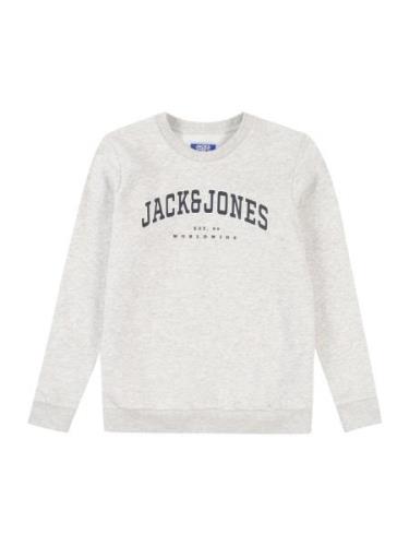 Jack & Jones Junior Sweatshirt  natblå / grå-meleret / hvid