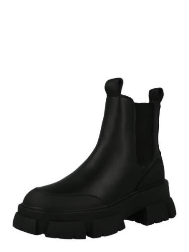 STEVE MADDEN Chelsea Boots 'Cave'  sort