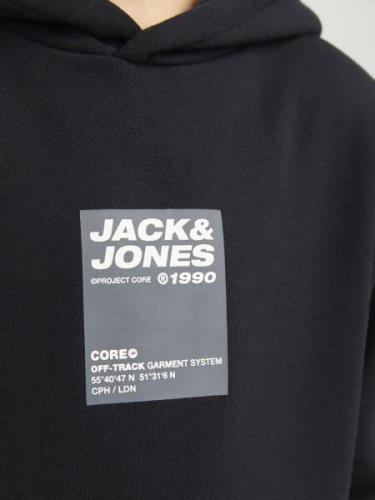 Jack & Jones Junior Sweatshirt  grå / sort / hvid