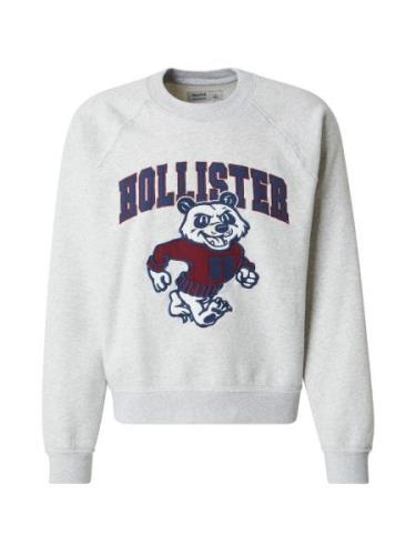 HOLLISTER Sweatshirt  navy / lysegrå / merlot