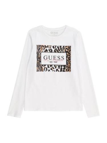 GUESS Bluser & t-shirts  lysebrun / lysviolet / sort / hvid