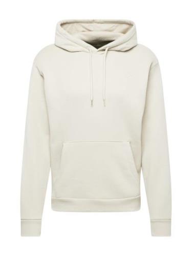 HOLLISTER Sweatshirt  lysebeige