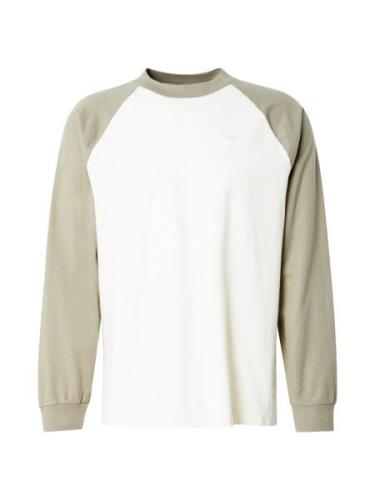 HOLLISTER Bluser & t-shirts  beige / greige