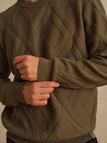 DAN FOX APPAREL Pullover 'Sascha'  oliven