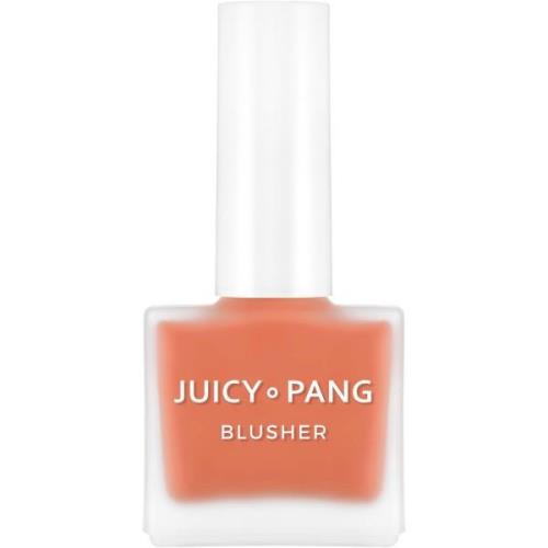 A'Pieu Juicy-Pang Water Blusher Cr02