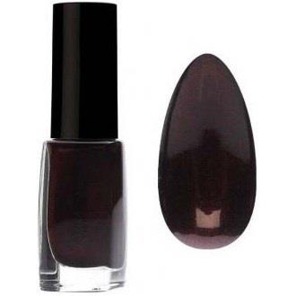 Pierre Rene Nail Polish 381 Metalic Burgundy