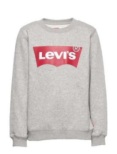 Levi's® Batwing Crewneck Sweatshirt Levi's Grey