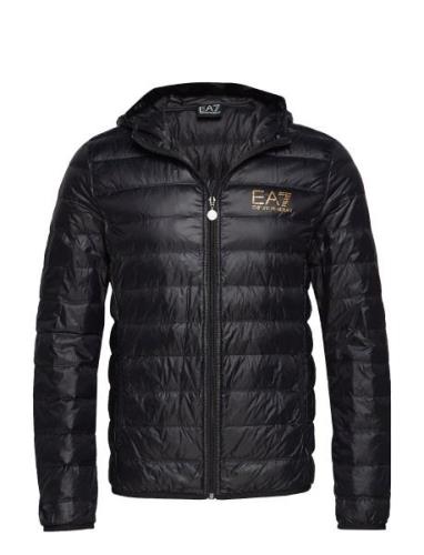 Down Jacket EA7 Black