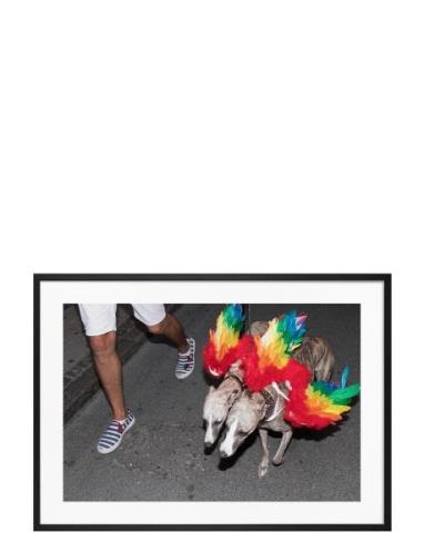 Poster Rainbow Dogs Democratic Gallery Red