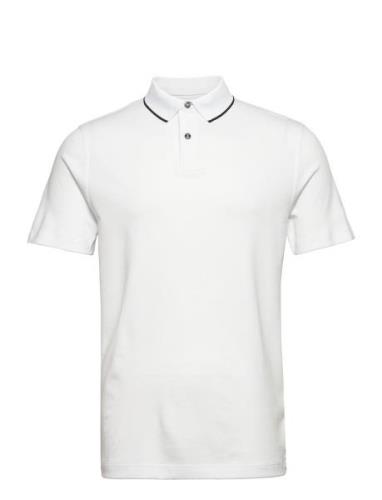 Slhleroy Ss Polo Noos Selected Homme White