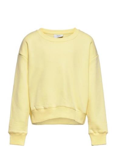 Our L Crew Sweat Grunt Yellow