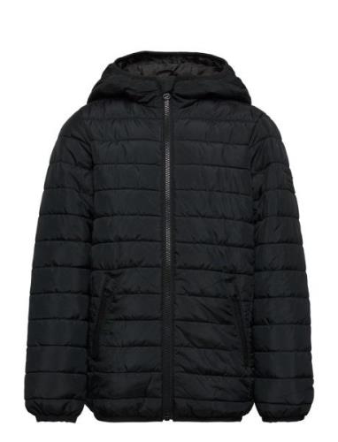 Jwhwing Hood Puffer Jacket Jnr Jack & J S Black