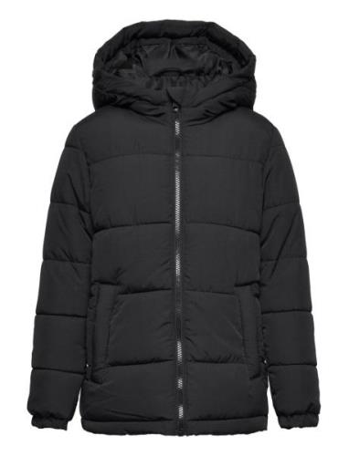 Jwhpaul Puffer Hood Jnr Jack & J S Black