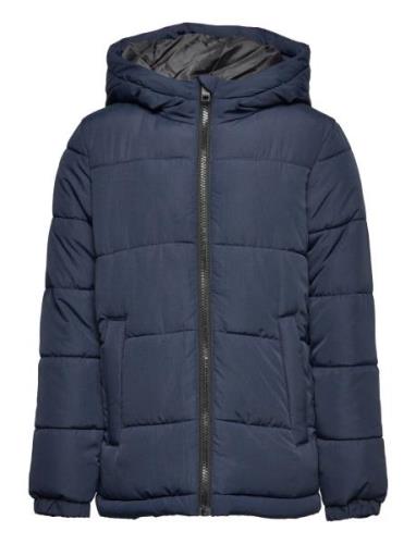 Jwhpaul Puffer Hood Jnr Jack & J S Navy