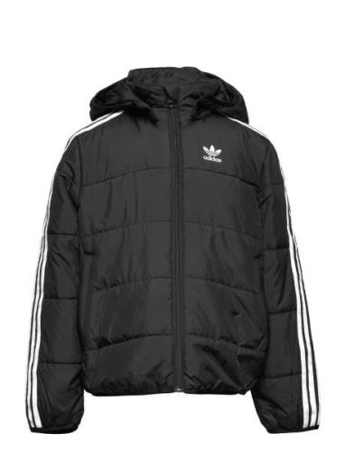 Padded Jacket Adidas Originals Black