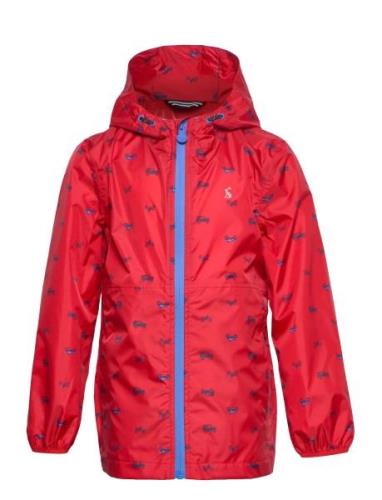 Arlow Joules Red