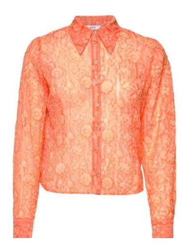 Enalpha Ls Shirt 6935 Envii Orange