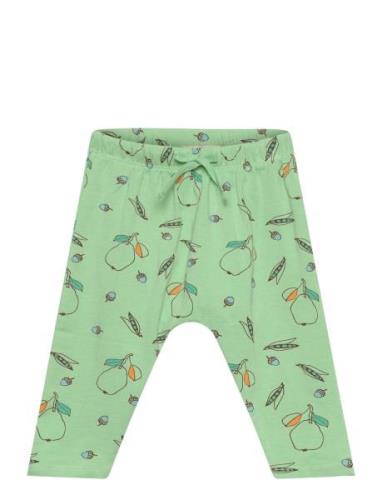 Sghailey Pear Pants Soft Gallery Green