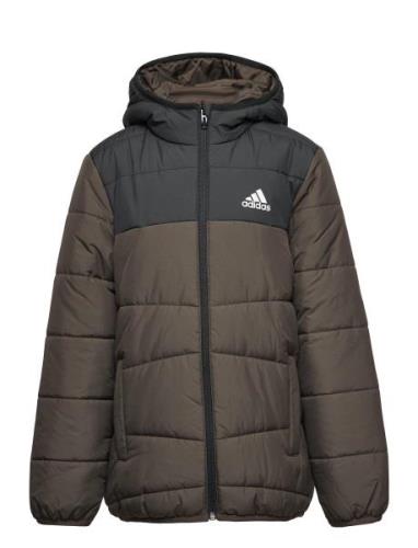 Padded Winter Jacket Adidas Sportswear Brown