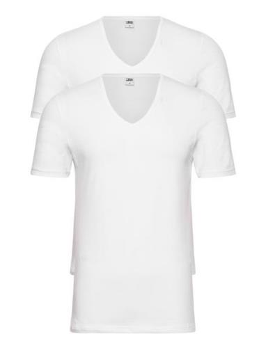 Jbs 2-Pack T-Shirt V-Neck Gots JBS White
