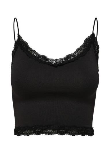 Onlvicky Lace Seamless Cropped Top ONLY Black