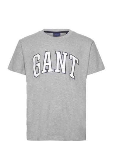 Md. Gant T-Shirt GANT Grey