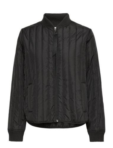 Louisa Short Jacket Basic Apparel Black