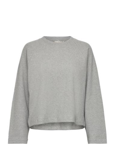 Barbara Sweatshirt Gots Basic Apparel Grey