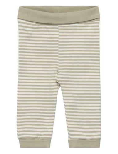Pants Y/D Stripe Fixoni Green