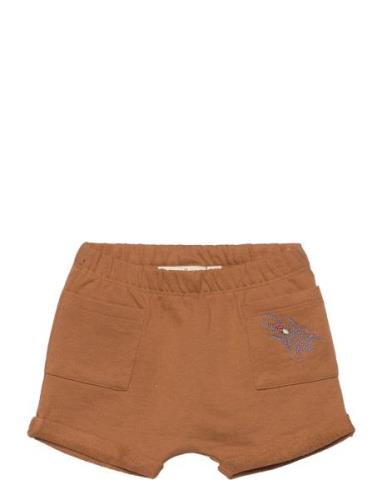 Sgflair Emb Bugs Shorts Soft Gallery Brown