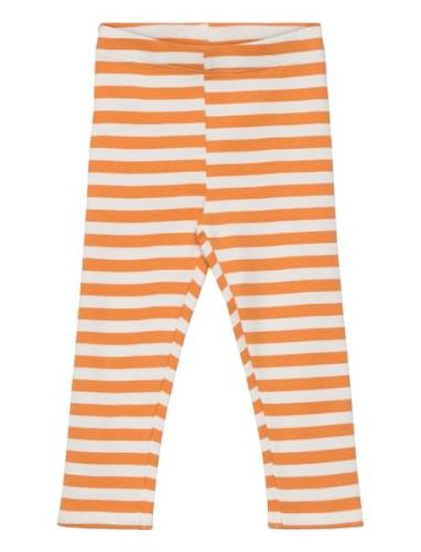 Sgissey Yd Striped Leggings Acorn Soft Gallery Orange