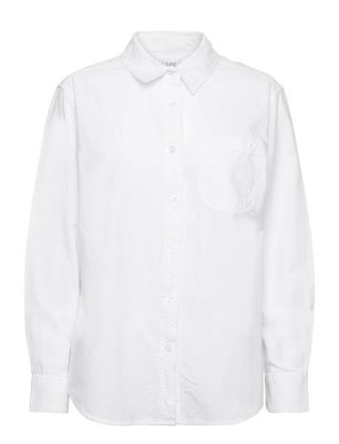 All Purpose Shirt Lee Jeans White